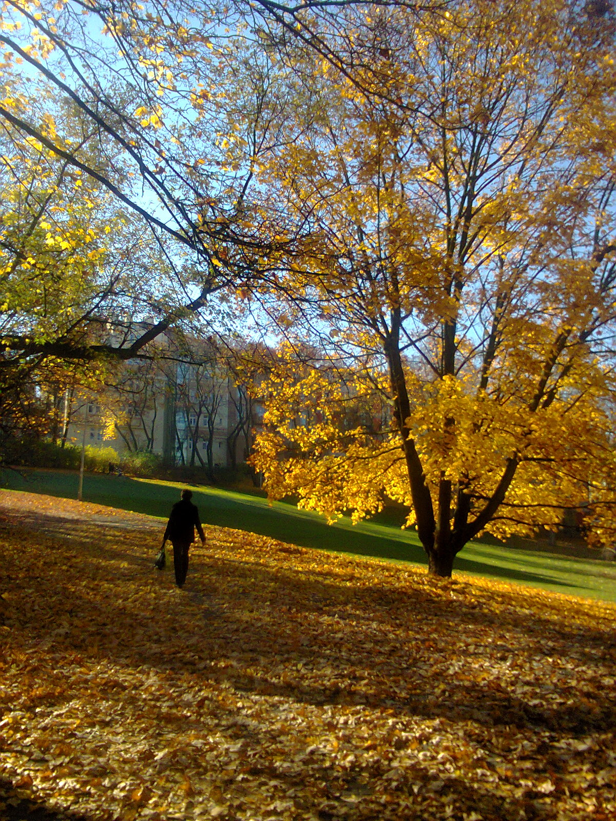 park Královka